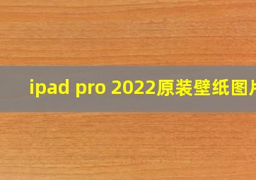 ipad pro 2022原装壁纸图片